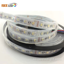 Fire i en RGBW LED -stripe lys